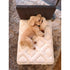 Dog want to sleep on Getha Pet Bed